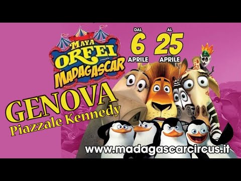 Sorprendenti spettacoli: scopri il nuovo prezzo del biglietto al Circo Orfei!