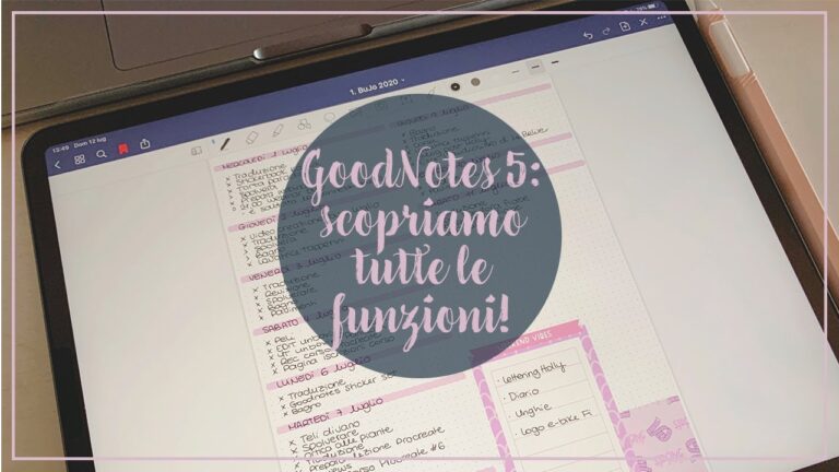 Comprende 5 fogli: Un’analisi ottimizzata e concisa