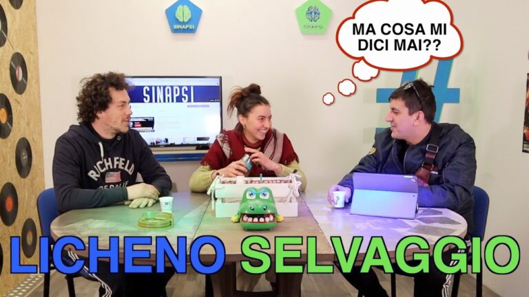 Riconoscere un vero abitante di Adrara Sei di Adrara Se